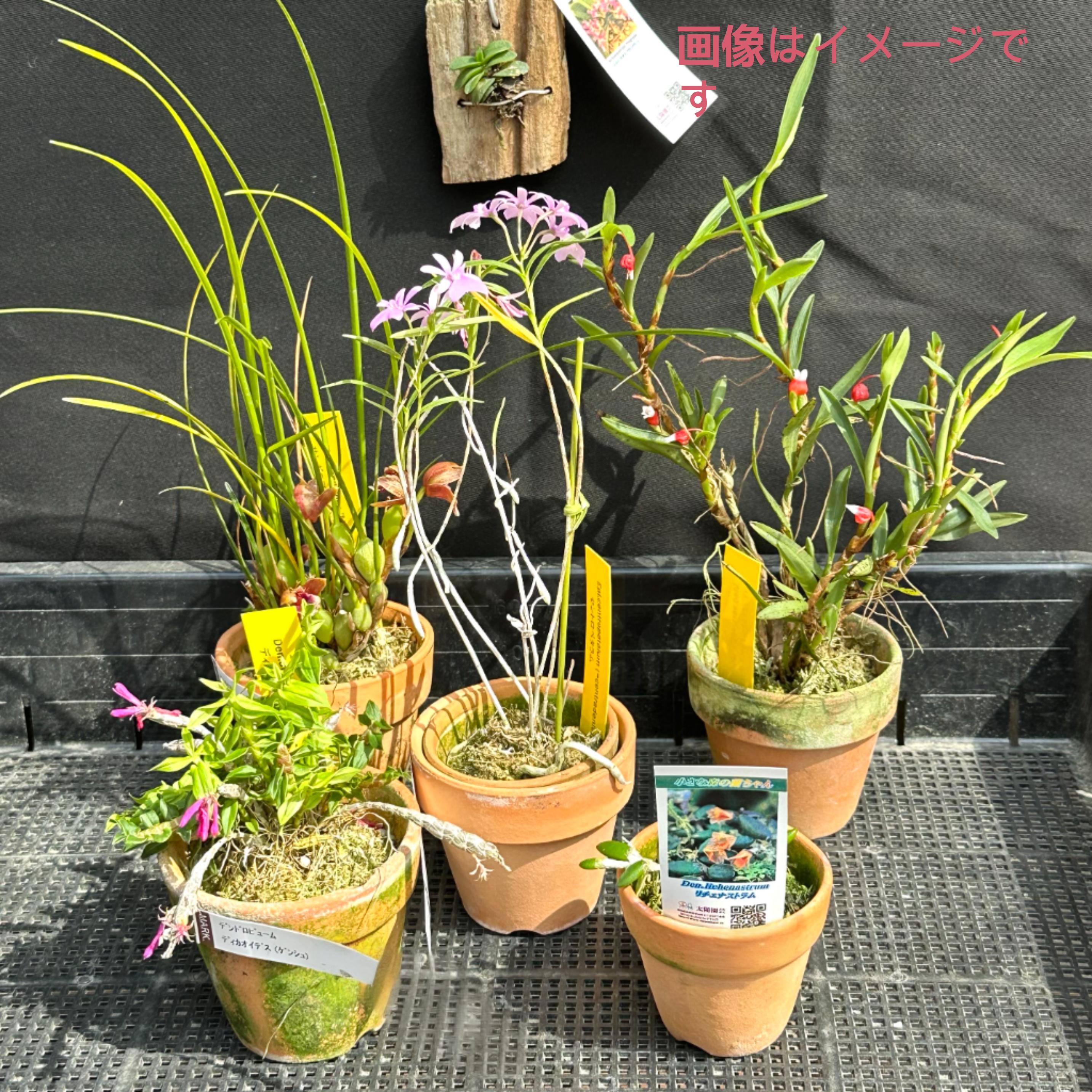 10000_b192ed43-ede3-4c41-8046-