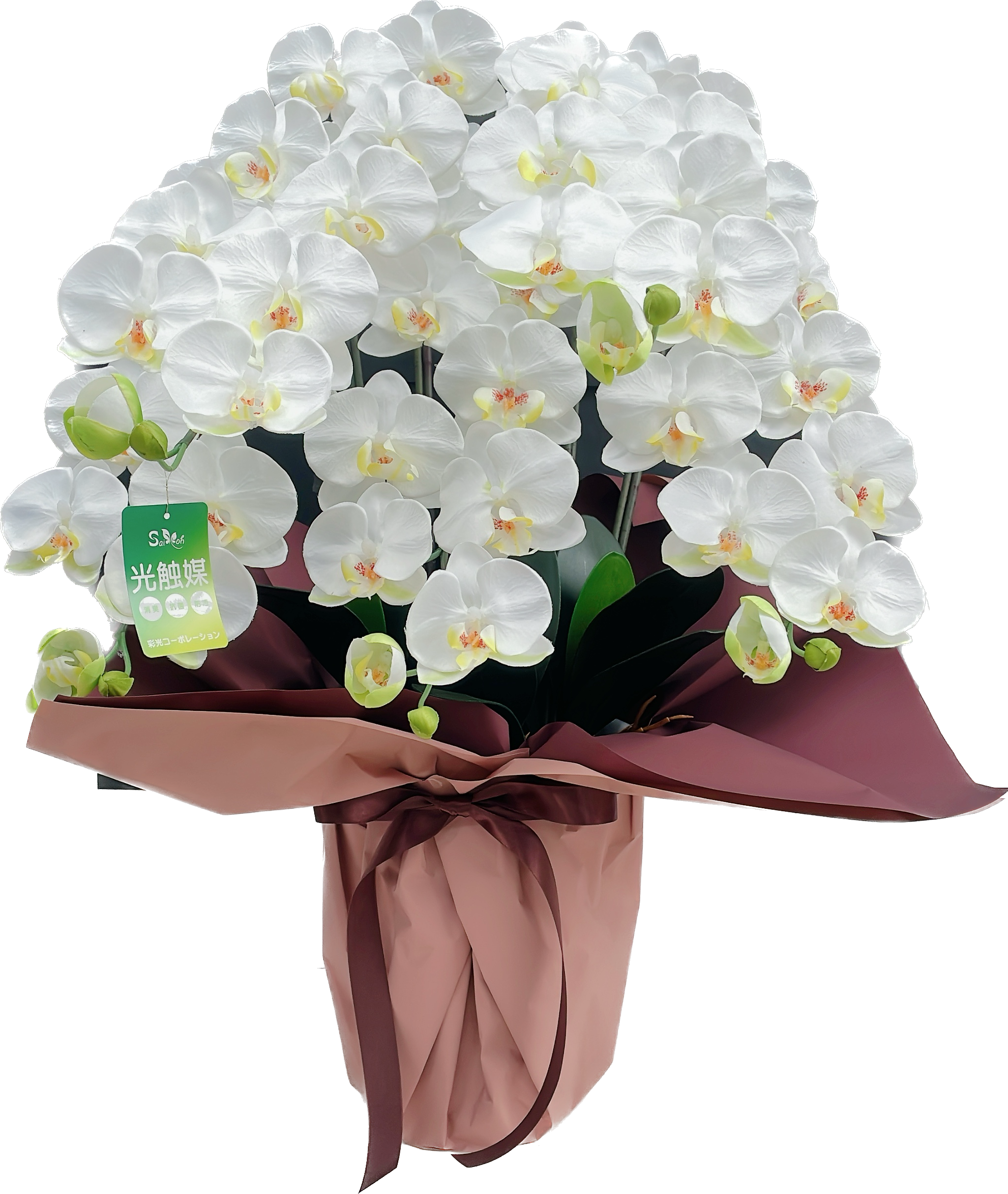 美品】光触媒加工 胡蝶蘭(造花) & 彫刻入り 木製 飾り台 花台 美品】 美品】光触媒加工 胡蝶蘭(造花) & 彫刻入り 木製 飾り台 花台 美品】