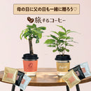 45.コーヒー＆観葉パキラ ＆コーヒーの木　(父の日・母の日セット）　　