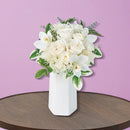 NEW 真白　ましろ