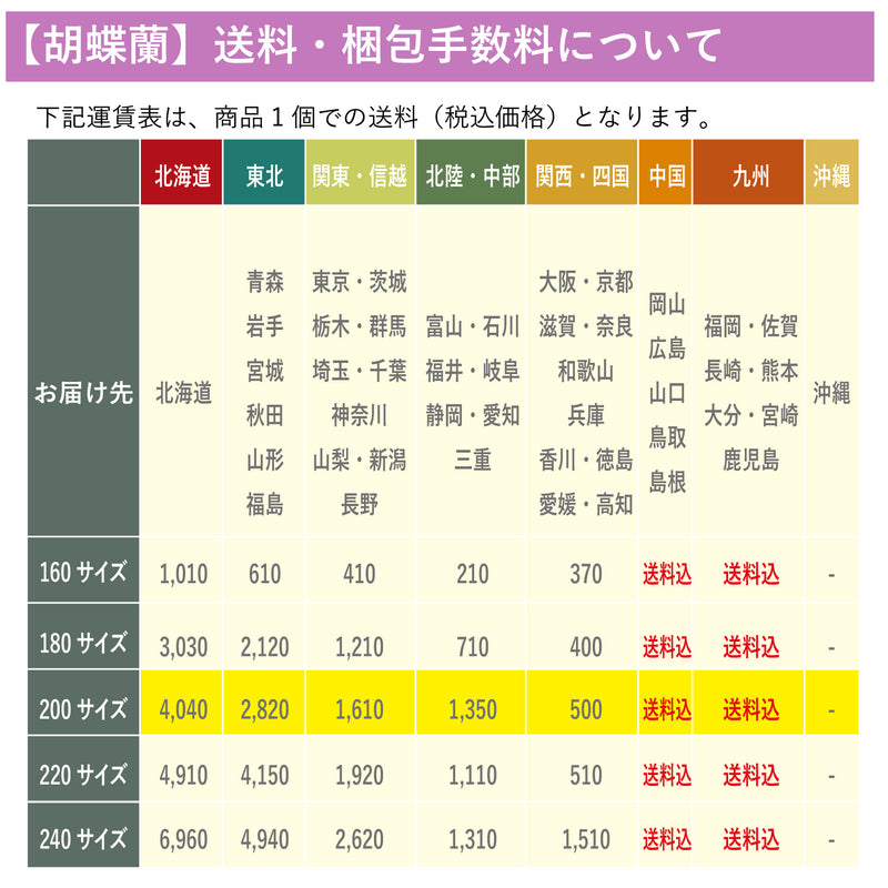 特選胡蝶蘭3本立（33輪）開店・開業・新築・就任・各種御祝対応