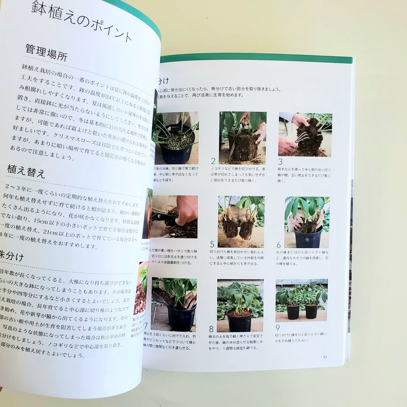 新刊『新版　クリスマスローズ〜この１冊を読めば原種、交雑種、栽培などすべてがわかる』 横山直樹氏のサイン入り