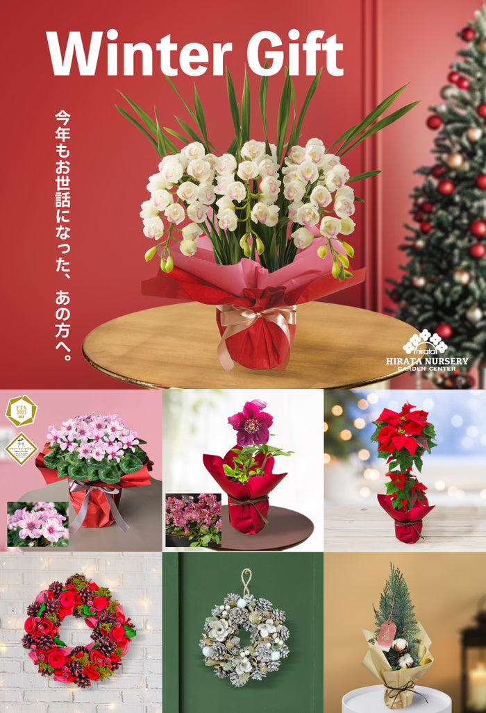 平田ナーセリー オンラインストア