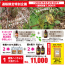 1.病気へっちゃら元気セット 【肥料セール　6/20まで全国送料一律1000円】