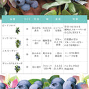 ブルーベリー・ブッシェル・アンド・ベリー【サファイアカスケード】