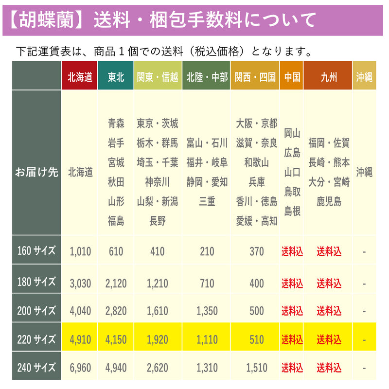 特選胡蝶蘭5本立（65輪）開店・開業・新築・就任・各種御祝対応