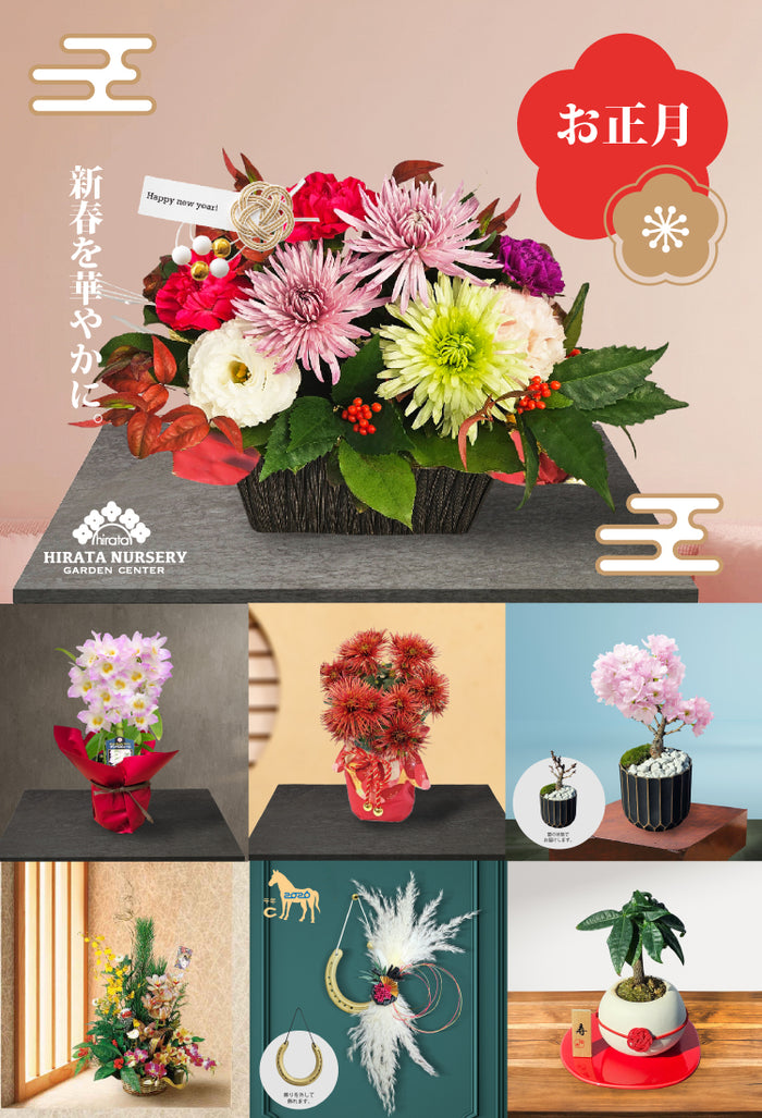 平田ナーセリー オンラインストア