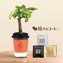 43.コーヒー＆観葉パキラ　マザー