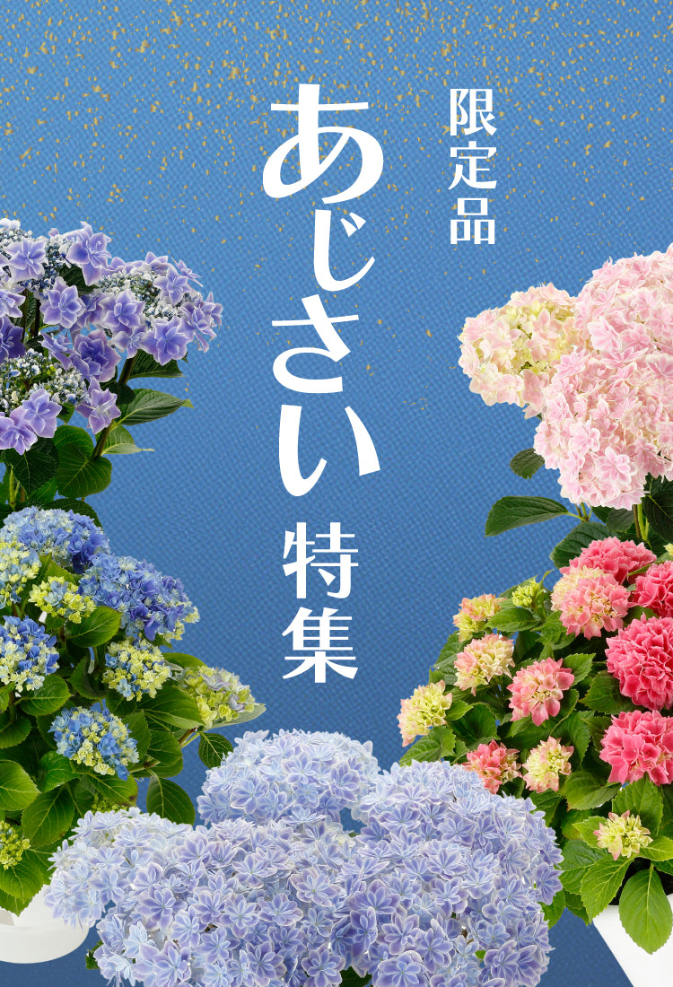 平田ナーセリー オンラインストア