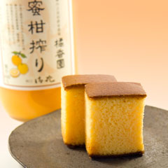 35ガーデンマム「満月」とカステラセット