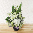 胡蝶蘭の生花アレンジ