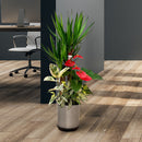 【贈答品】観葉植物 1万円代 寄せ植え8寸メタルFP(皿付) 立て札・メッセージカード・リボン付