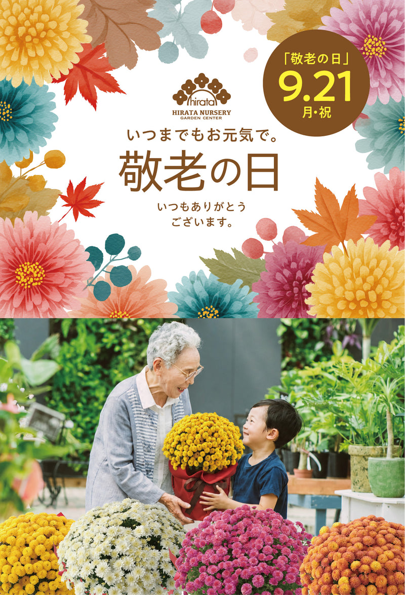 平田ナーセリー オンラインストア