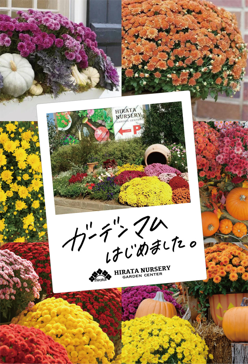 平田ナーセリー オンラインストア