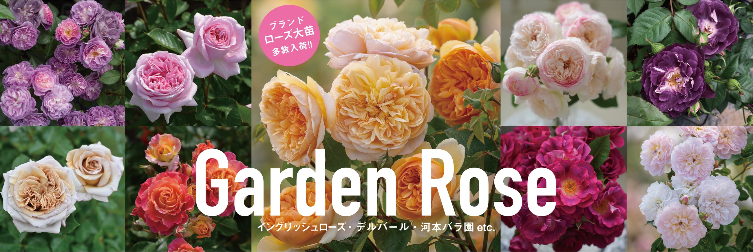 平田ナーセリー オンラインストア