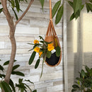 プランツクレイドル　3個セット