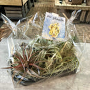 天狗堂エアープランツおせち　【2026初売りセール　1/5㈪まで期間限定販売】