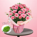 4.カーネーション ティーパーティー　マザーリーフ付き