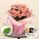 12.カーネーション メープルシフォン＆コーヒー