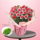 2.カーネーション 　いちごホイップ　マザーリーフ付き