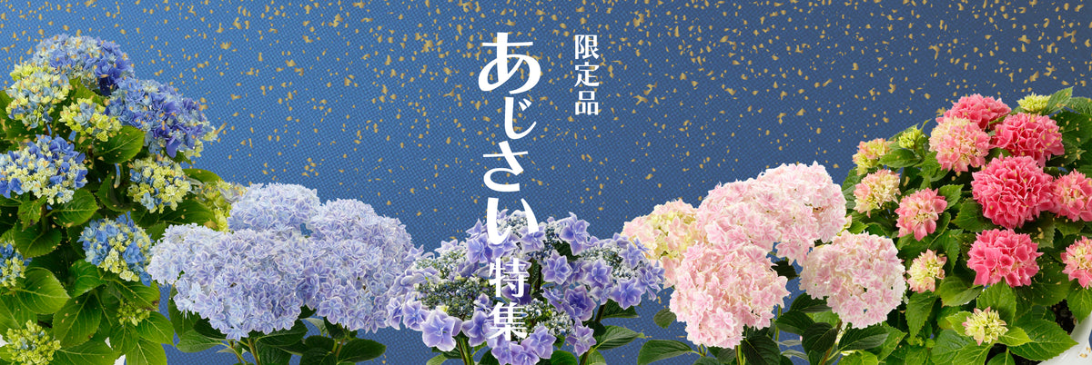 平田ナーセリー オンラインストア