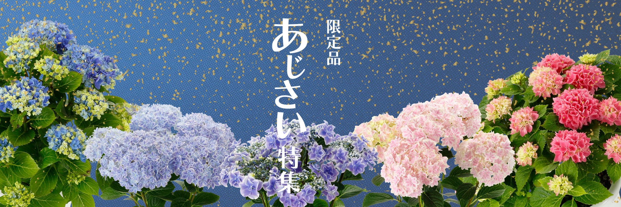 平田ナーセリー オンラインストア