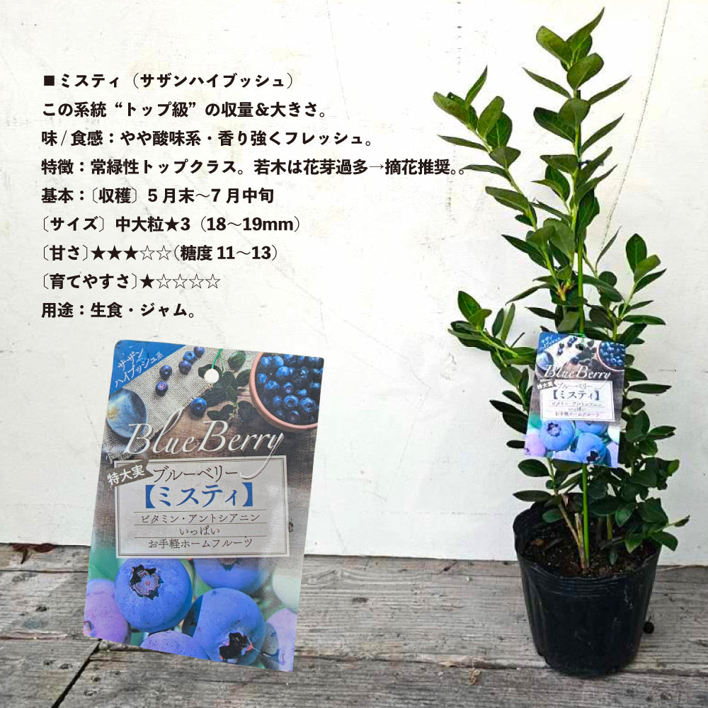 S_1f12d3aa-7835-42f7-a8e3-