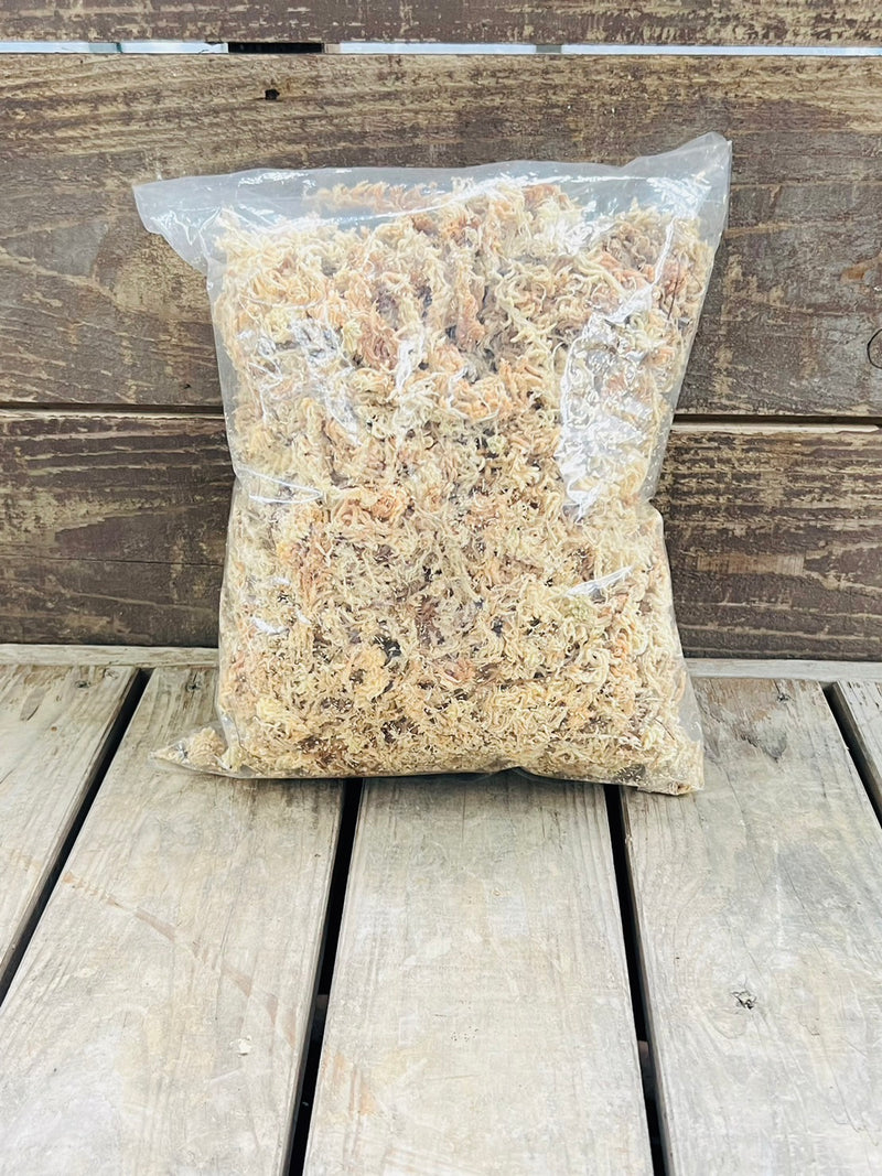 【送料着払い】水苔 ニュージーランド産 3A 50g