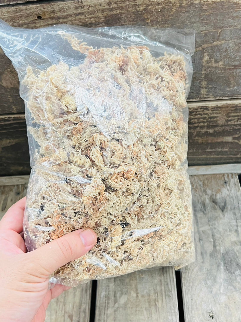 【送料着払い】水苔 ニュージーランド産 3A 50g