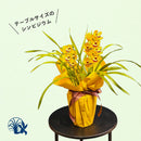 9.特選テーブルシンビイエロー