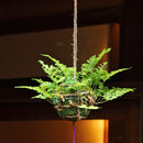 日本産つりしのぶ 【南部鉄器風鈴付】