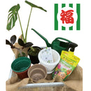 新春謹製「みどりの福箱」【2026初売りセール　1/5㈪まで期間限定販売】