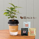 44.コーヒー＆観葉コーヒーの木　父の日 　【そのまま贈れる 税込・送料込プラン】※一部地域のみ追加送料あり