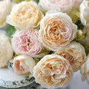 アンヌ【河本バラ園】　12月下旬～1月頃発送