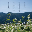 37.ほとめき茶そば