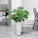 【贈答品】観葉植物 1万円代  モンステラ8寸角高陶器 立て札・メッセージカード・リボン付