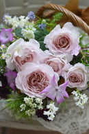 NEW タフタ【河本バラ園】　12月下旬～1月頃発送