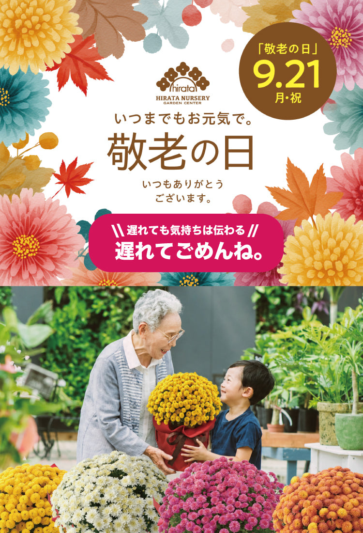 平田ナーセリー オンラインストア