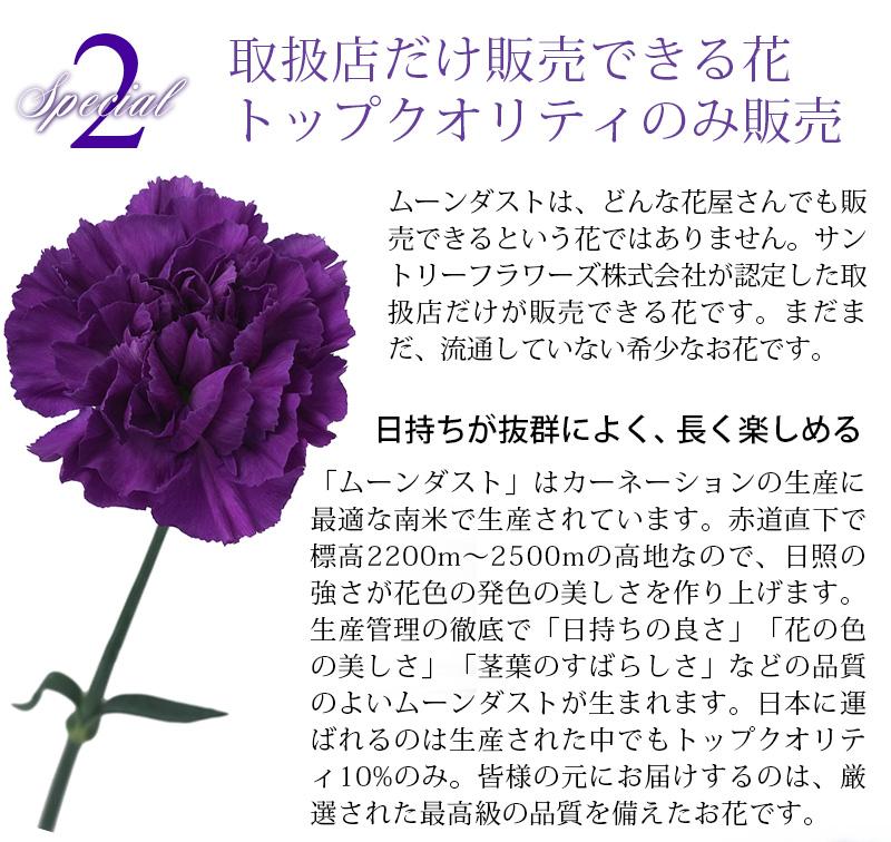 47 New  生花アレンジ「ハローハピネス」 【2024年 母の日】