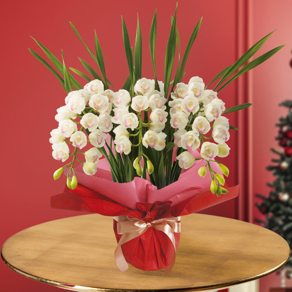 1.シンビジューム「ピンクペルペチュエル」