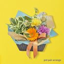 pot pair arrange「スプリングスカイ＆エンジョイ」