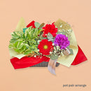 pot pair arrange「ラブレッド＆エンジョイ」