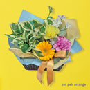 pot pair arrange「スプリングスカイ＆エンジョイ」