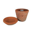 ランカ　キュー　レッド