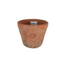 ランカ　キュー　レッド