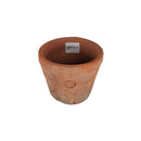 ランカ　キュー　レッド