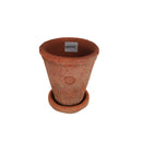 ランカトール　キュー　レッド