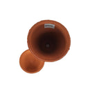 ランカトール　キュー　レッド