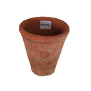 ランカトール　キュー　レッド