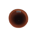 ランカトール　キュー　レッド